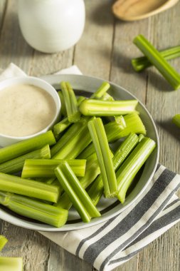 Ham organik yeşil kereviz sapı