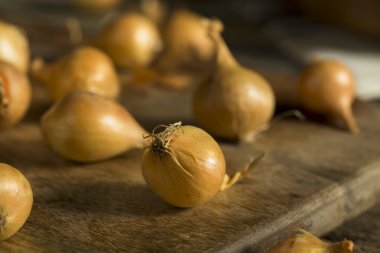 Organik çiğ sarı inci soğan