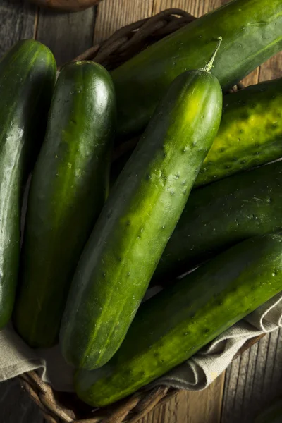 Rauwe groene biologische komkommers — Stockfoto