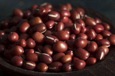 Raw Organic Red Adzuki Beans clipart