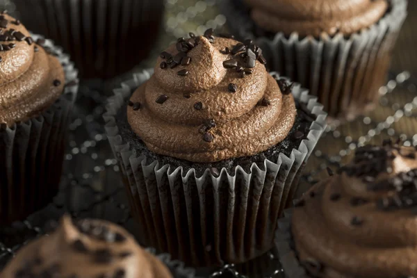 Домашні солодкі шоколадні кекси — стокове фото