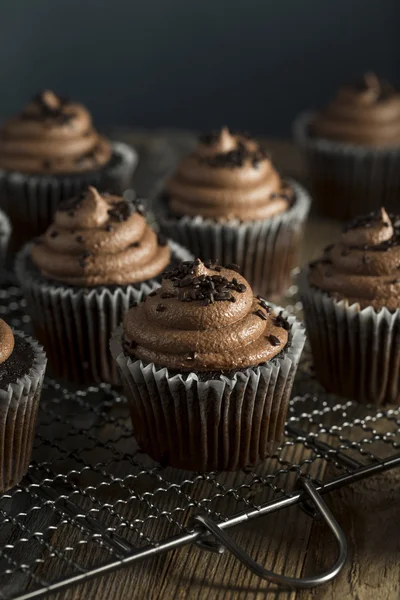 Cupcakes de chocolate doce caseiro — Fotografia de Stock