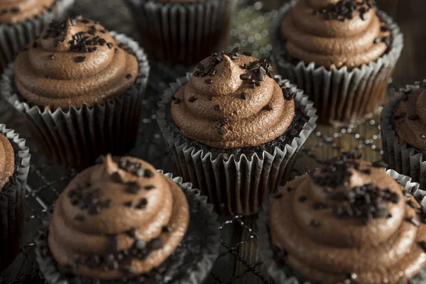 Homemade Sweet Chocolate Cupcakes — Stock Photo, Image