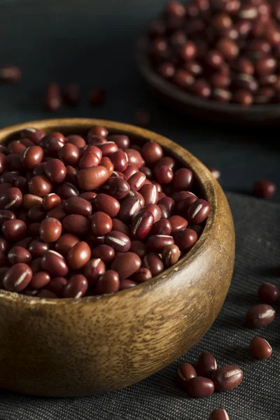 Raw bio červené fazole Adzuki fazole — Stock fotografie