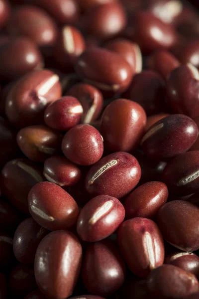 Kacang Adzuki Merah Organik Mentah — Stok Foto