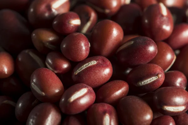 Judías rojas orgánicas crudas Adzuki — Foto de Stock