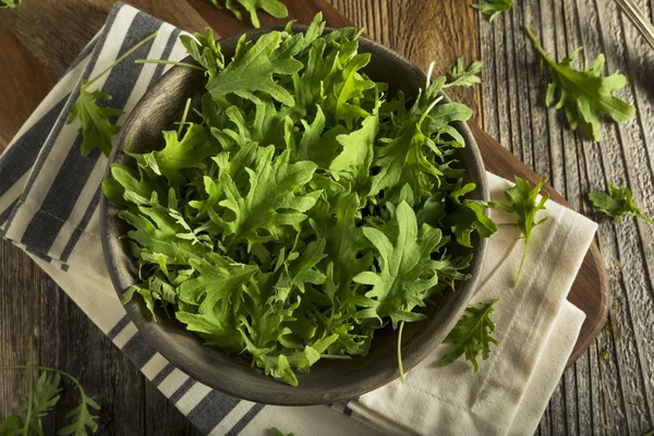 Raw Green Organic Baby Kale — Stock Image Raw Green Organic Baby Kale Royalty Free Stock Photos