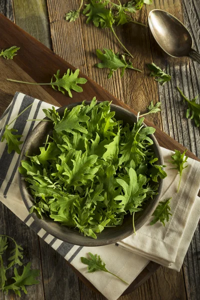 Raw Green Organic Baby Kale — Stock Image Raw Green Organic Baby Kale Stock Picture
