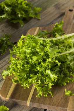 Ham yeşil organik hindiba salatası