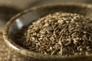 Ham organik dereotu tohum