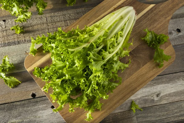 Ensalada de inmersión orgánica verde cruda — Foto de Stock