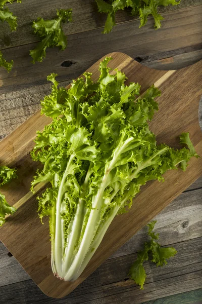 Raw Green Organic Endive Salad — Stock Photo, Image