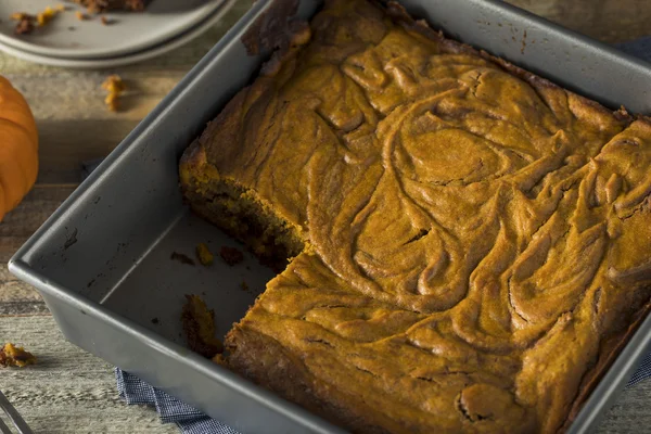 Zelfgemaakte pompoen Chocolade Brownies — Stockfoto