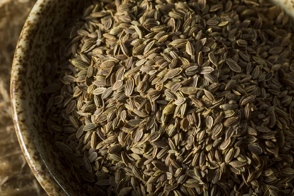 Raw Organic Dill Seed — Φωτογραφία Αρχείου