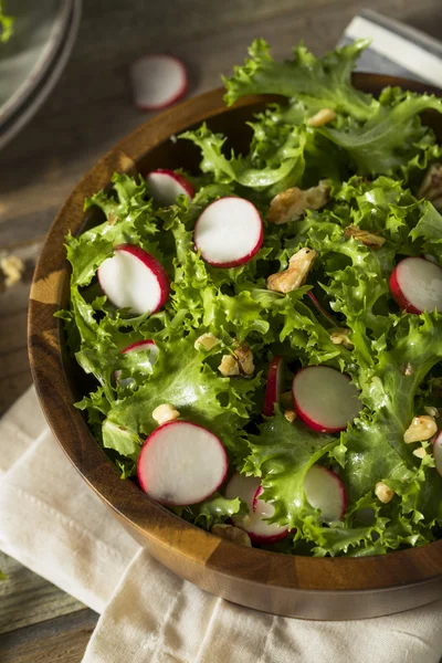 Endividamento orgânico cru e salada de rabanete — Fotografia de Stock