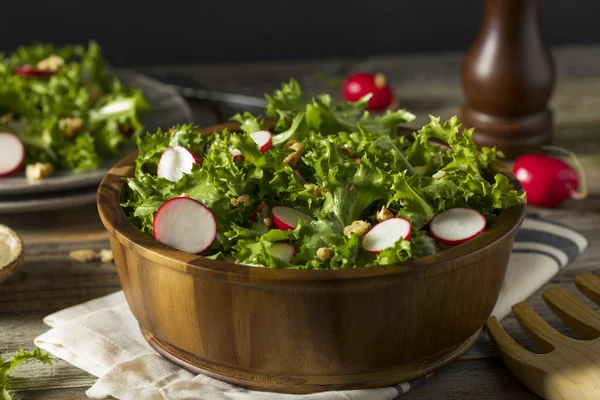 Raw Organic Endive and Radish Salad — Φωτογραφία Αρχείου