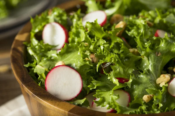 Raw Organic Endive and Radish Salad — Φωτογραφία Αρχείου