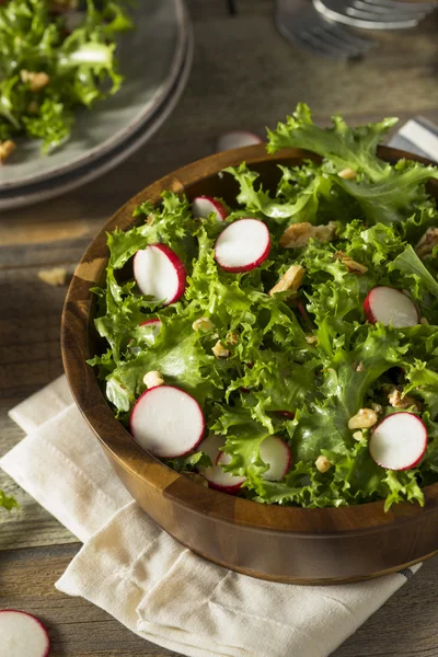 Endividamento orgânico cru e salada de rabanete — Fotografia de Stock