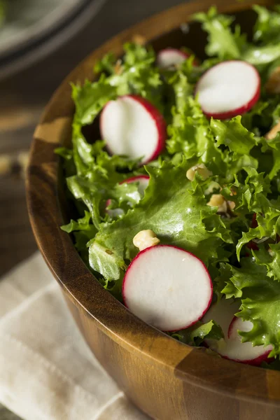 Endive orgánico crudo y ensalada de rábano —  Fotos de Stock