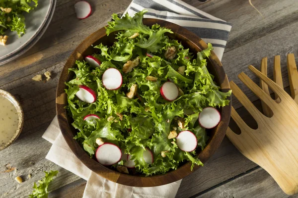 Raw Organic Endive and Radish Salad — Φωτογραφία Αρχείου