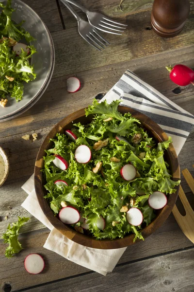 Raw Organic Endive and Radish Salad — Φωτογραφία Αρχείου