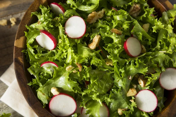 Endividamento orgânico cru e salada de rabanete — Fotografia de Stock