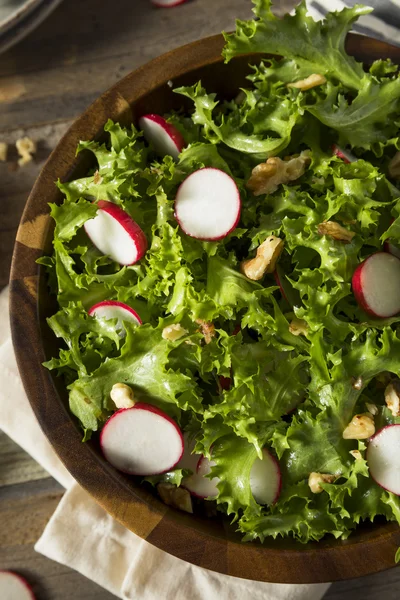 Raw Organic Endive and Radish Salad — Stock fotografie