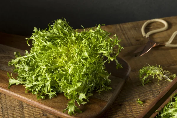 Roher grüner Bio-Friseursalat — Stockfoto