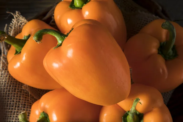 Raw Organic Orange Bell Pepper — Stock Photo, Image