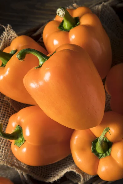 Raw Organic Orange Bell Pepper — Stock Photo, Image