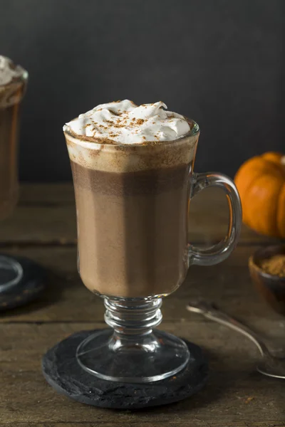 Zelfgemaakte Pumpkin Spice warme chocolademelk — Stockfoto