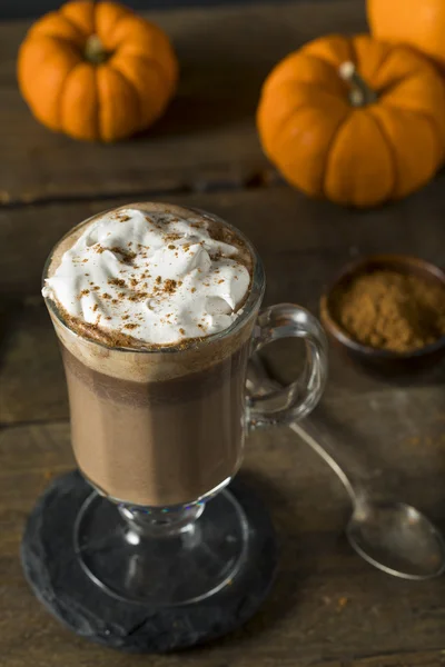 Zelfgemaakte Pumpkin Spice warme chocolademelk — Stockfoto