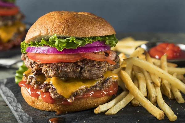 Hausgemachter Käse zerschlägt Burger — Stockfoto
