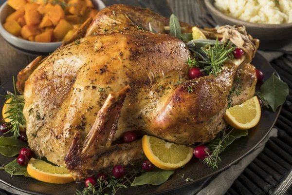 Hemmagjord Thanksgiving kalkon middag — Stockfoto