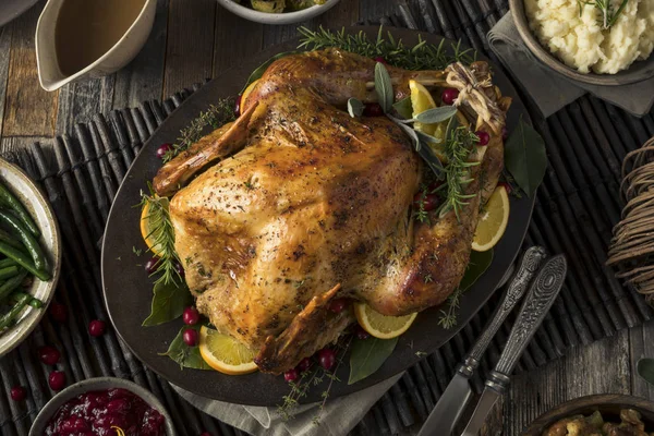 Zelfgemaakte Thanksgiving kalkoen diner — Stockfoto