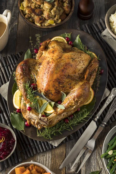 Hausgemachtes Truthahn-Dinner — Stockfoto