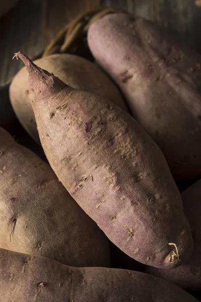 Rohe lila Bio-Süßkartoffeln — Stockfoto