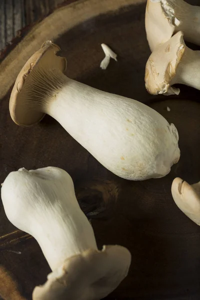 Raw Organic King Oyster Mushrooms — Stock Photo, Image