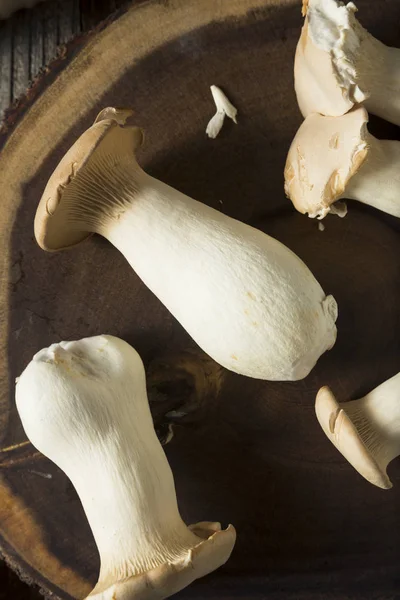 Raw Organic King Oyster Mushrooms — Stock Photo, Image