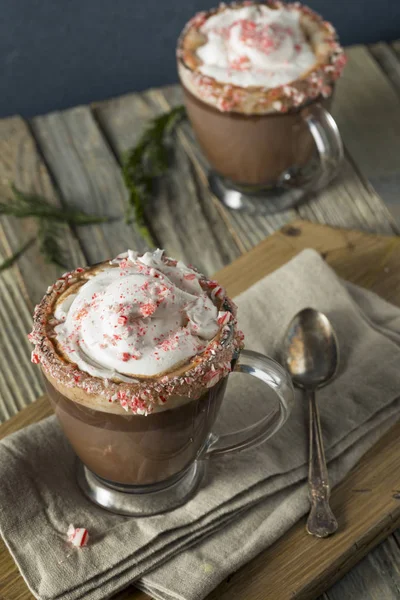 Домашний мятный горячий шоколад — стоковое фото