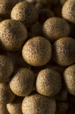 Ham organik kahverengi kayın mantar