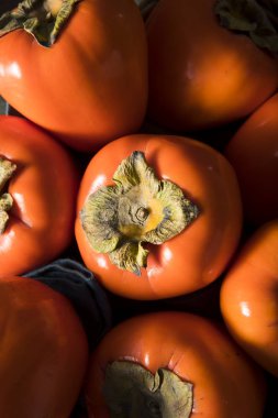 Ham organik portakal Perssimons