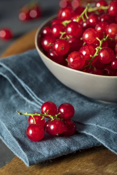 Raw Organic Red Currants — Stock Photo, Image