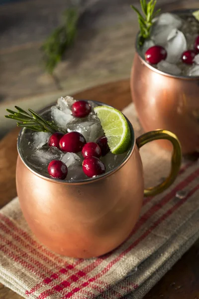 Alcoólico festivo Moscou Mules — Fotografia de Stock