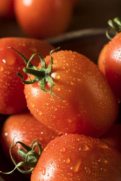 Raw Red Organic Roma Tomatoes — Stock Photo, Image