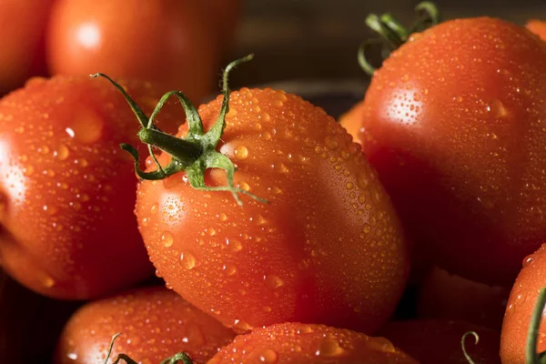 Красные цыганские помидоры — стоковое фото