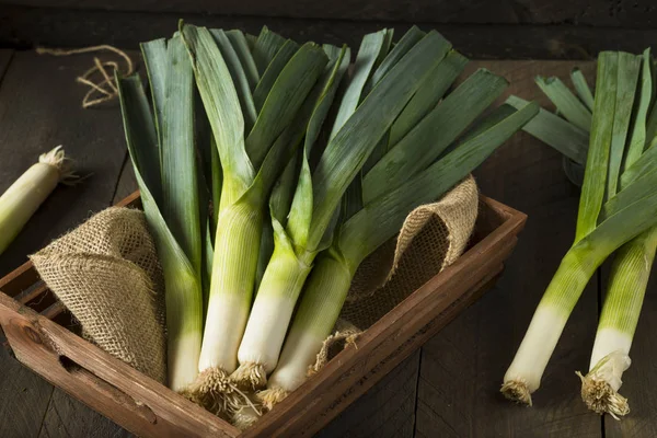 Raw Green Organic Leeks — Stock Photo, Image