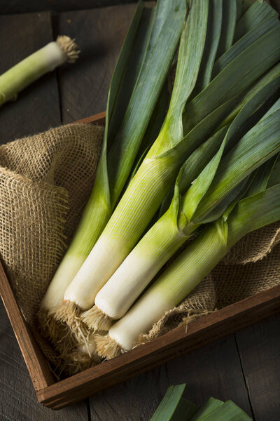 Raw Green Organic Leeks