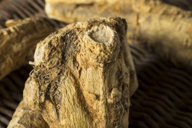 Ham organik kahverengi Horseradish kök