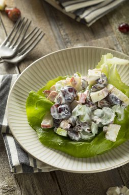 Ev yapımı taze Waldorf salatası